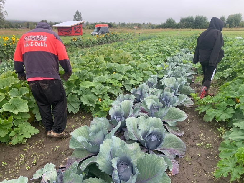 SikEDakh farm school KPU.ca Kwantlen Polytechnic University